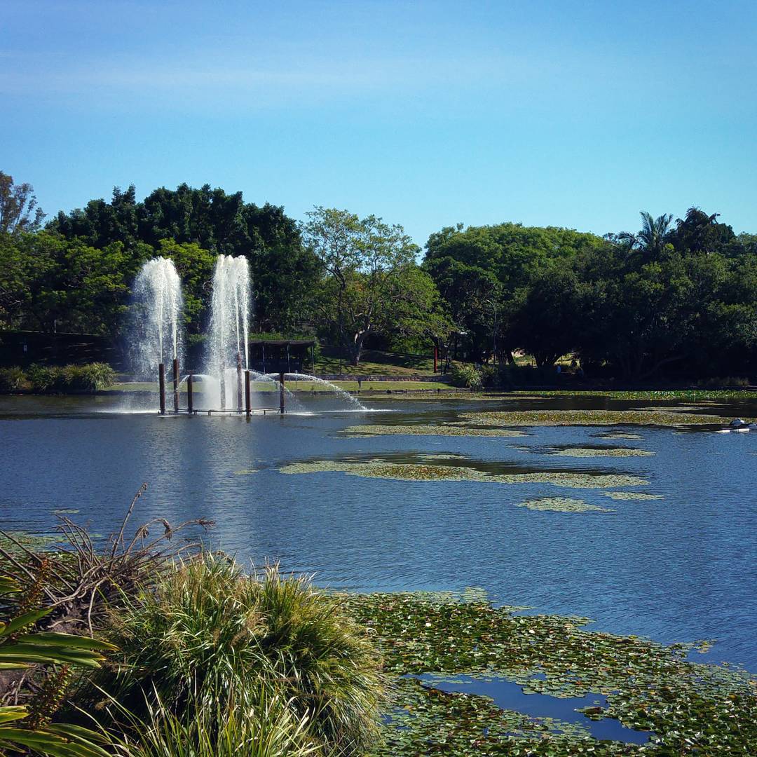 My fourth Australasian Combinatorics Conference